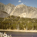 tobacco_root_mts_04