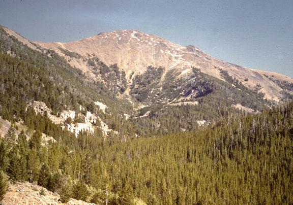Tobacco Root mountains