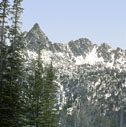 tobacco_root_mts_07