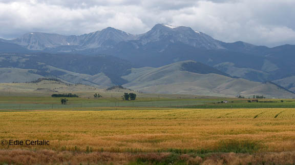 Tobacco Root mountains