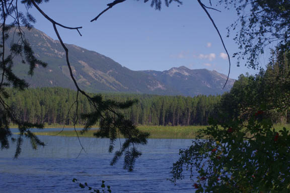 Whitefish range