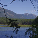 whitefish_range_murphy_lk03
