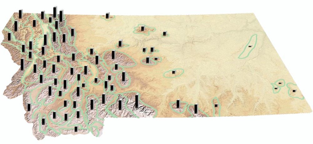 Montana Range Relief