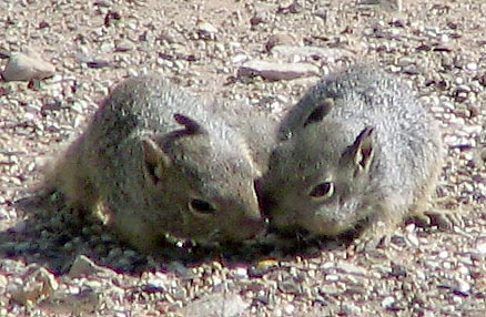 Hank Jorgensen Photo