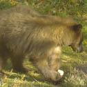 Hank Jorgensen Photo