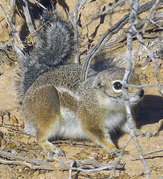 Hank Jorgensen Photo