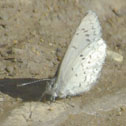 Spring azure